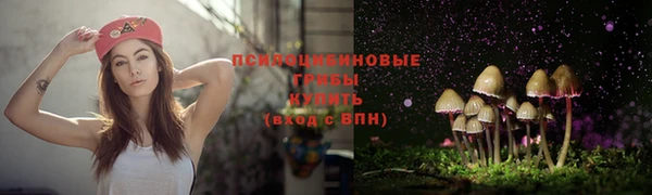 mdpv Алексеевка