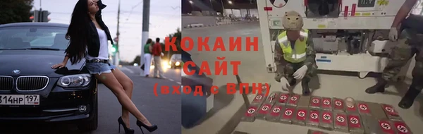 крисы Алексин